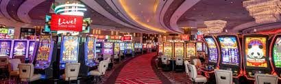 jili11 apk platform overview showing live casino and slot game lobby